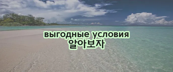 운전자보험 간편하고 합리적인 가입 방법 알아보기