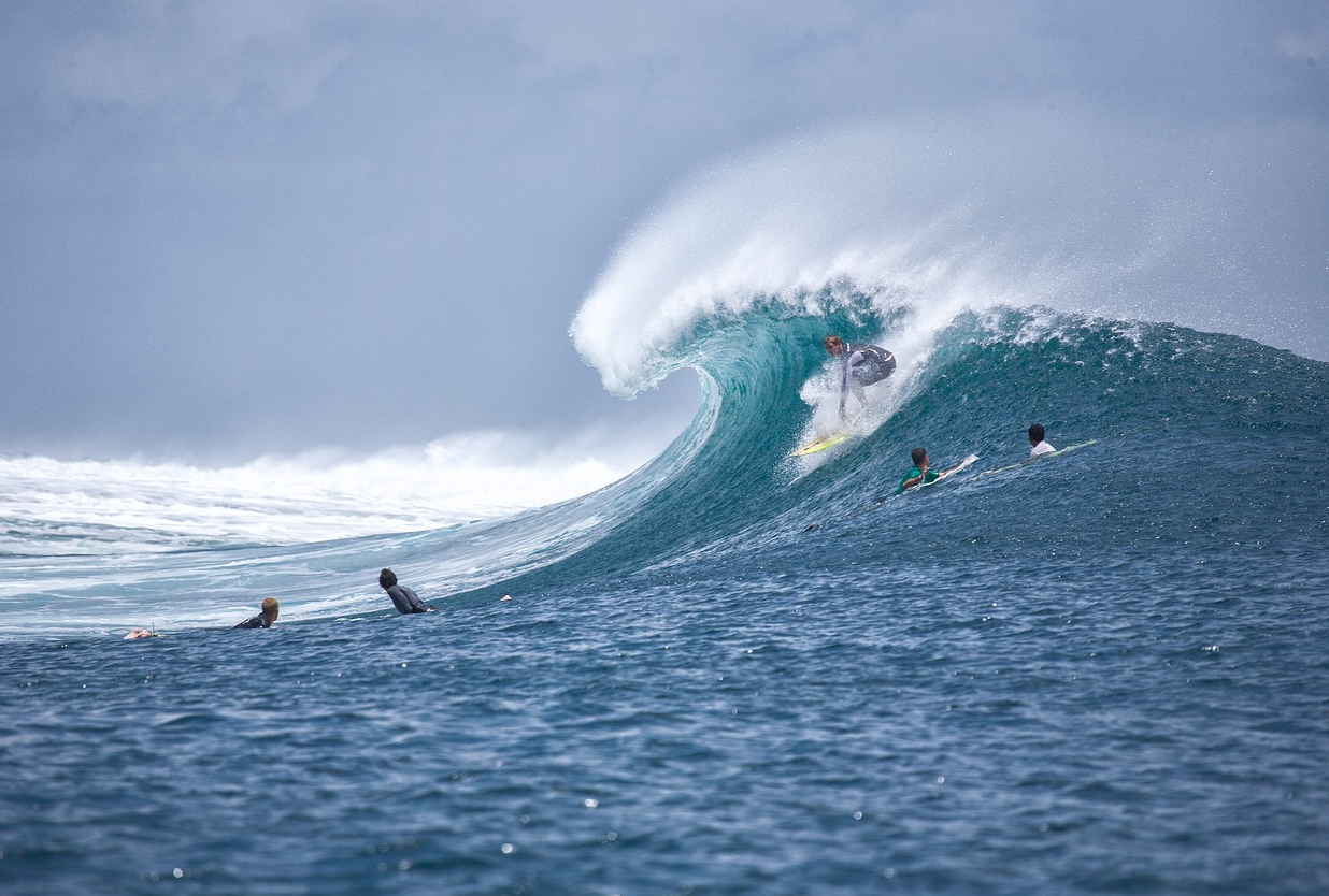 인도양 해변에서 서핑하는 사람들 사진