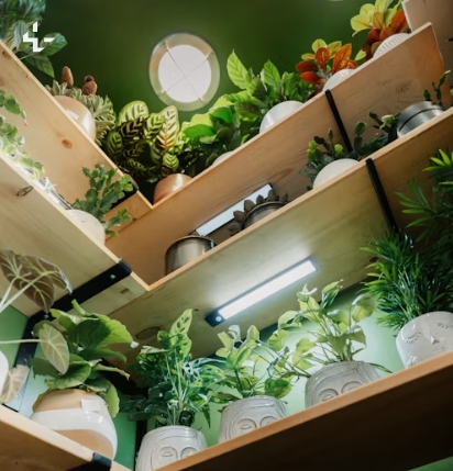 LG 공기청정기(퓨리케어)의 필터링 기술, 입체 순환 시스템, 탈취·가스 제거 기술