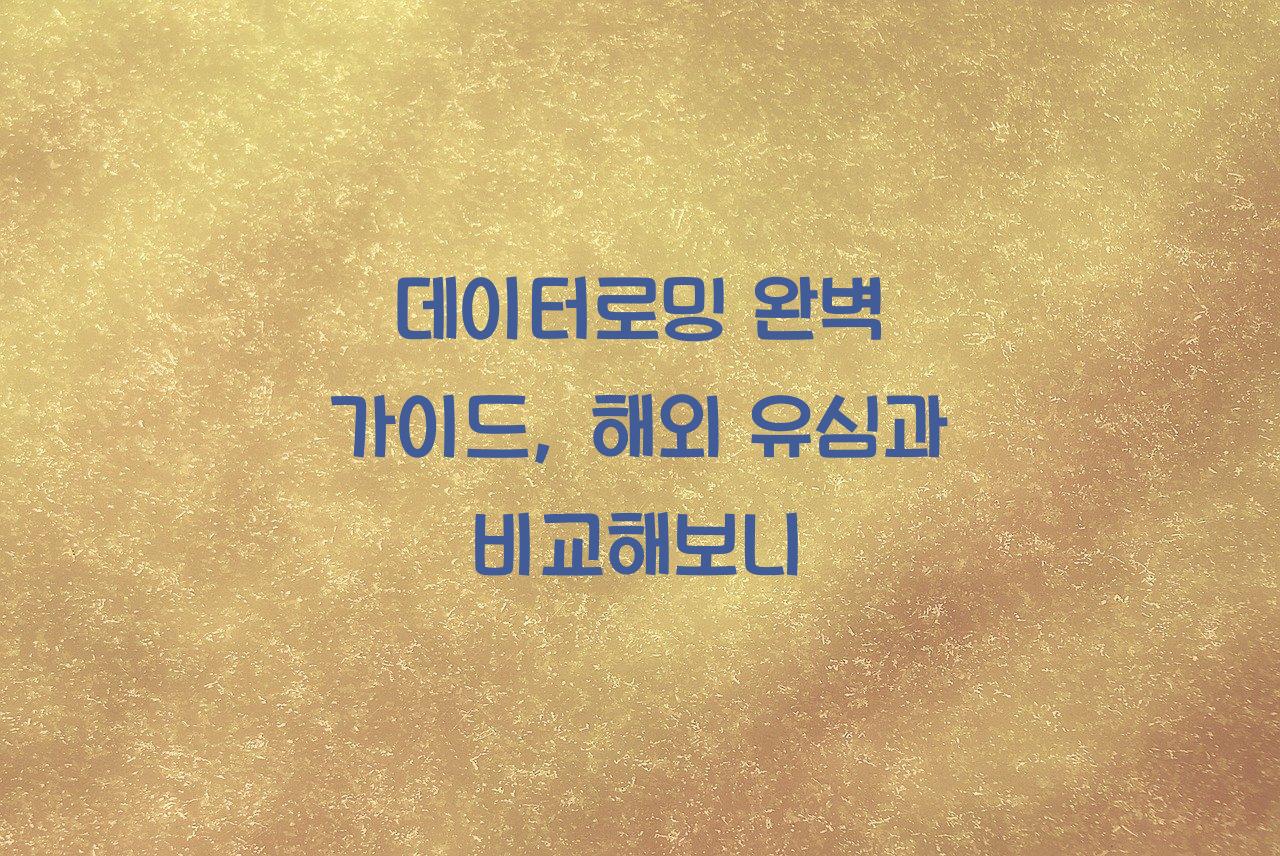 데이터로밍