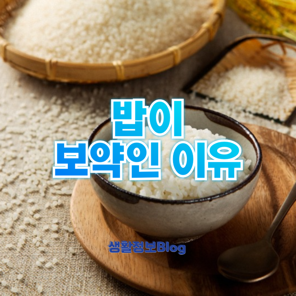 밥이 보약인 이유