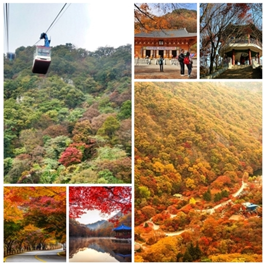 내장산 케이블카 요금 및 시간