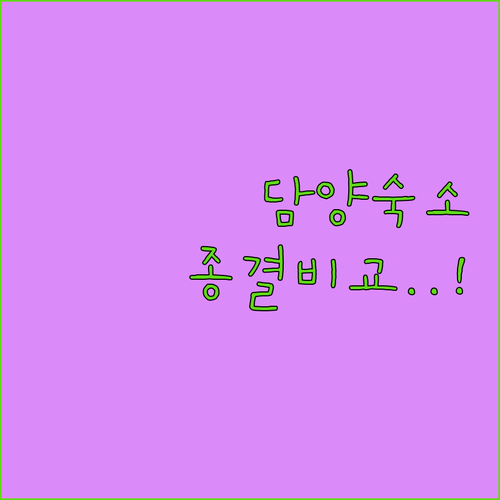 담양 여행 숙소 비교 소아르 호텔과 ..