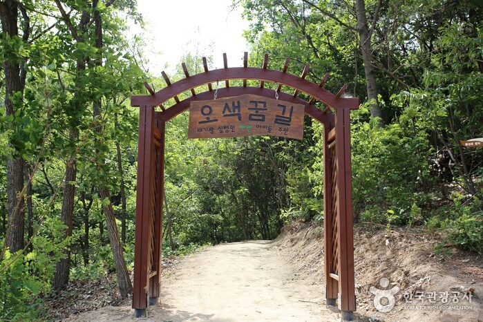 횡성호수길축제 2026
