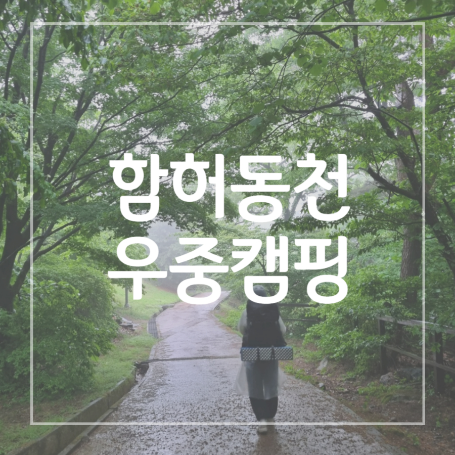 함허동천 우중캠핑 썸네일