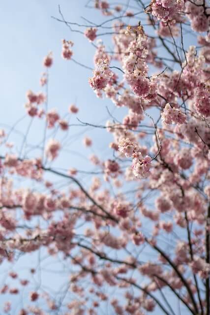 청년내일저축계좌 총정리