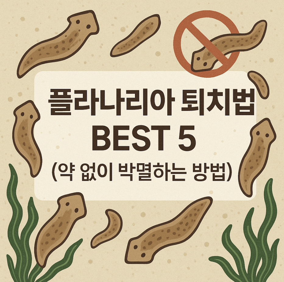 플라나리아 퇴치법 BEST 5 (약 없이 박멸하는 방법)