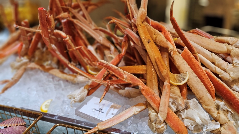 인스파이어 쉐프스키친16