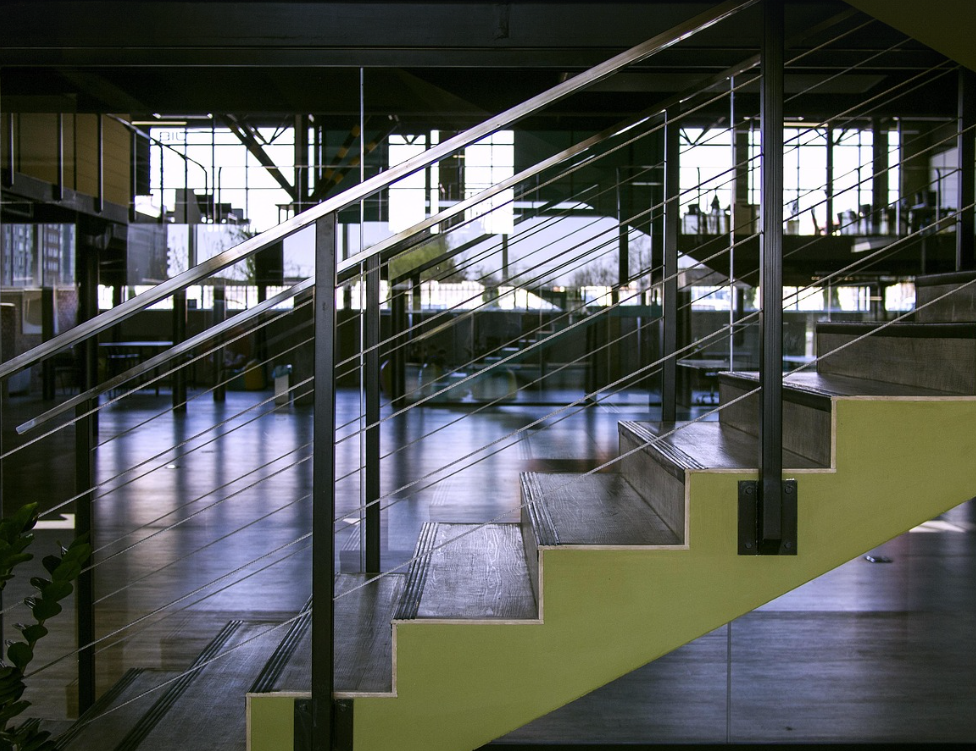 스타트업의 성장성