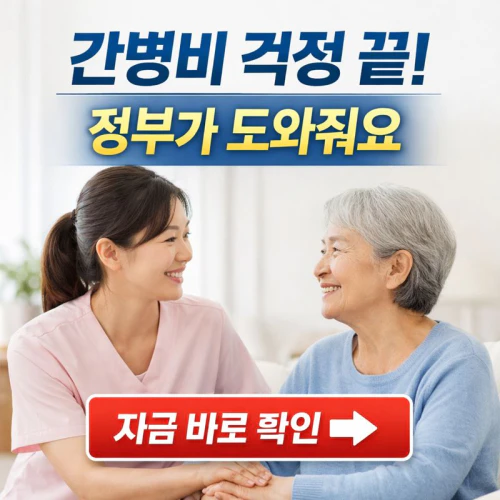 간병비 국가지원 사업