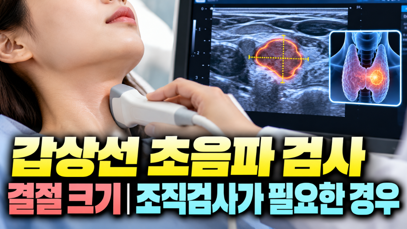 갑상선 초음파 검사｜결절 크기&middot;조직검사가 필요한 경우