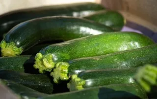 온누리상품권 사용처 및 온라인 확인방법