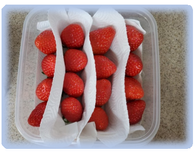 딸기 보관 방법