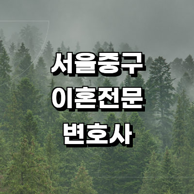 서울 중구 이혼 변호사