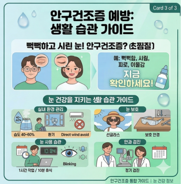 관련 안내 포스터 이미지