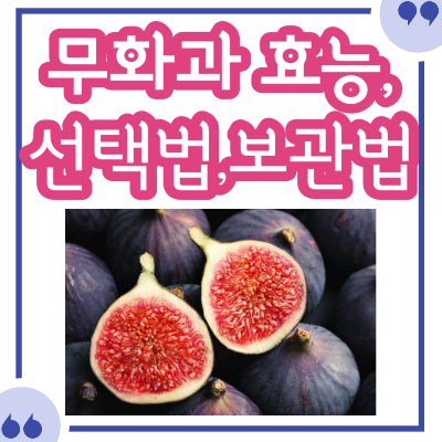 무화과의 효능&#44; 먹는법&#44; 보관법&#44; 고르는 방법&#44; 주의사항 총 정리