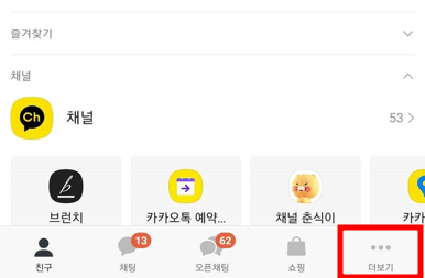 여권번호 및 유효기간 확인방법 - 카카오톡1