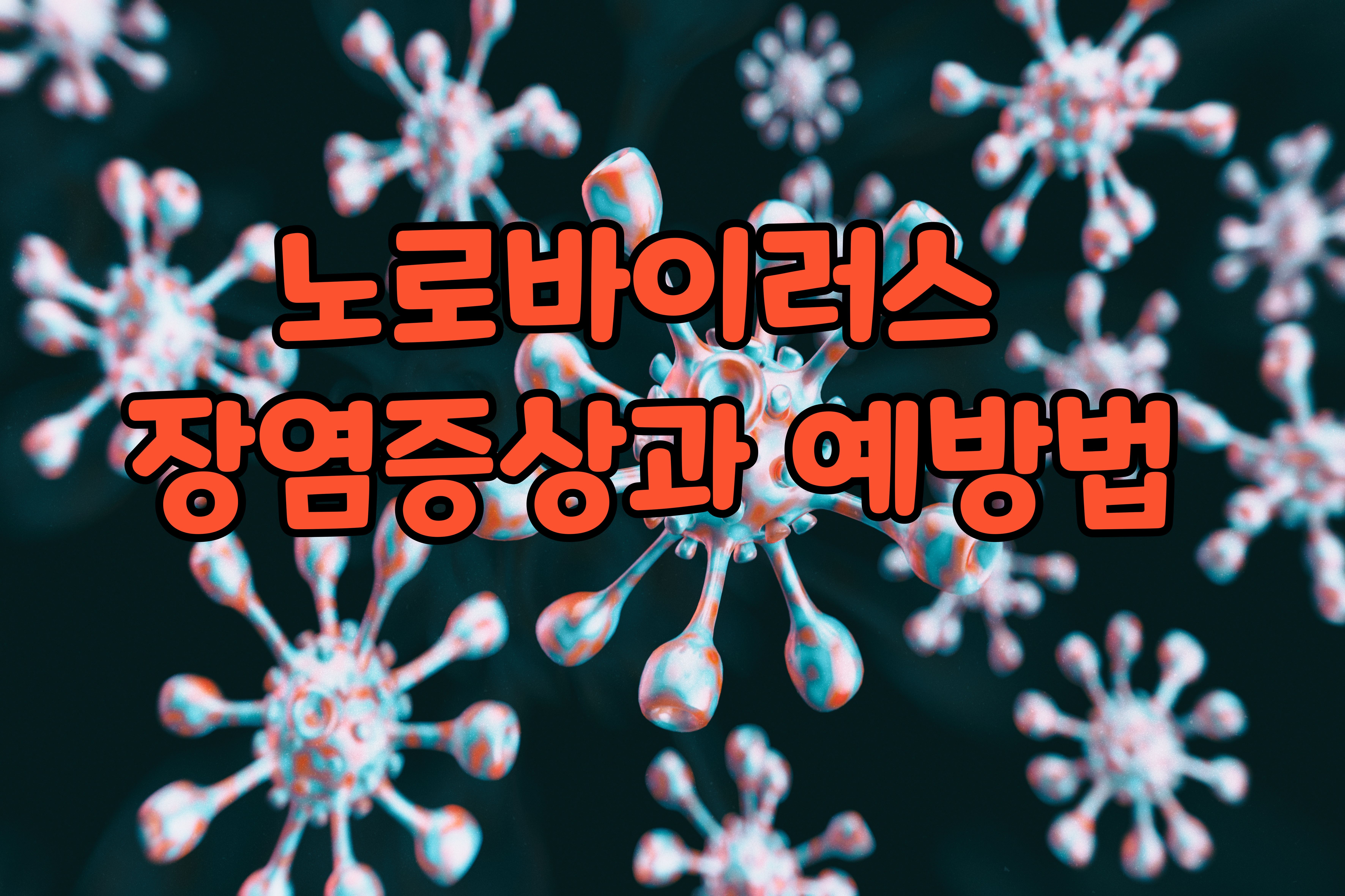 노로바이러스- 장염증상과 -예방법