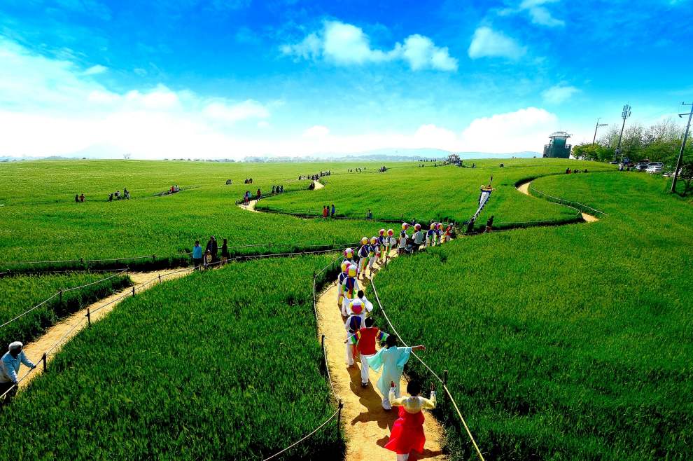 고창청보리밭축제
