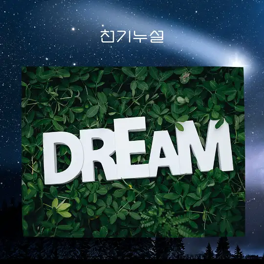 똥꿈 꿈해몽