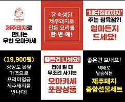 제주돼지