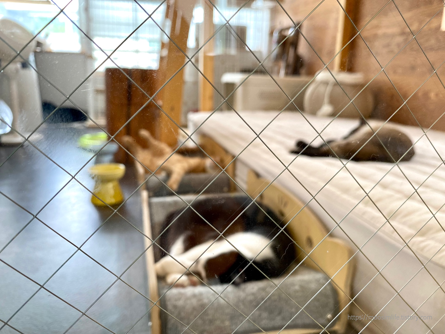 세종 바이올렛 커피 앤 브런치