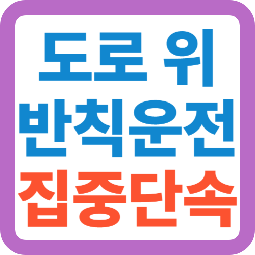 도로위-반칙운전-집중단속