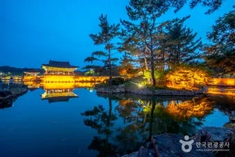 경주 가볼만한곳 베스트10 황리단길 대릉원 야경 산책로 추천_3