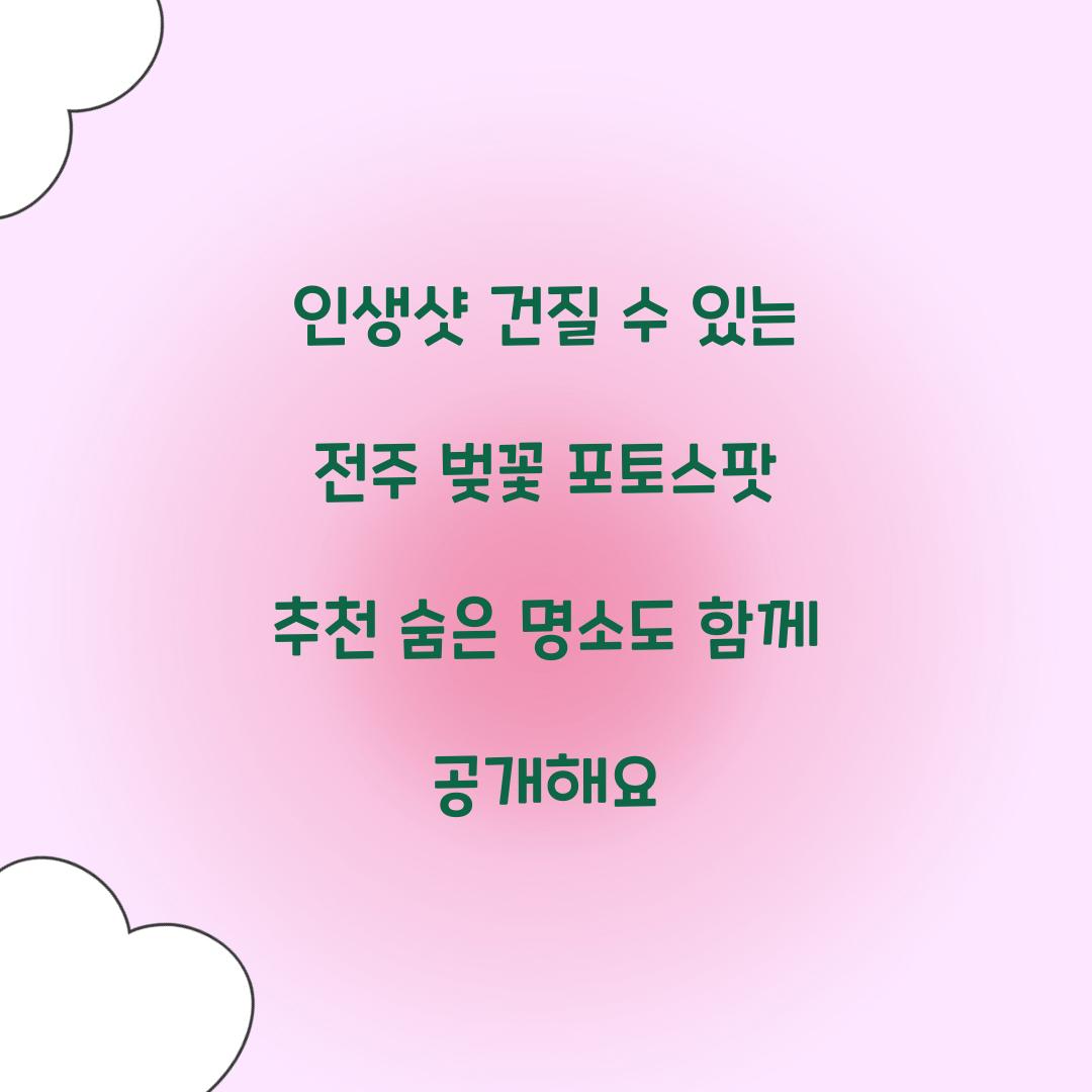 인생샷 건질 수 있는 전주 벚꽃 포토스팟