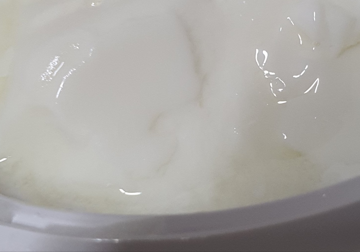 발효직후의 요거트와 유청에 섞여나온 덜 발효된우유
