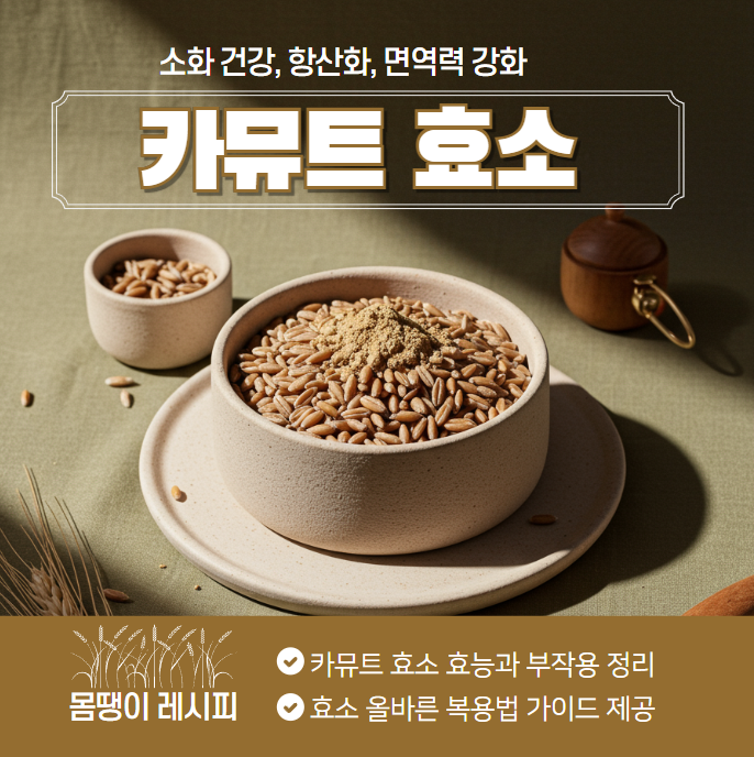 카뮤트 효소 효능과 부작용: 올바른 복용법 가이드