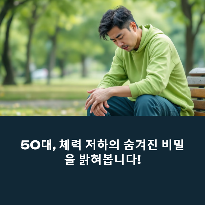 50대의 체력이 30대처럼 변화한 비밀 - 에너지와 활력을 폭발시키는 운동과 영양법에 대한 이미지