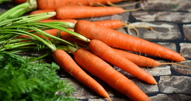 미니당근에 함유된 카로티노이드 기능과 베타카로틴 효능