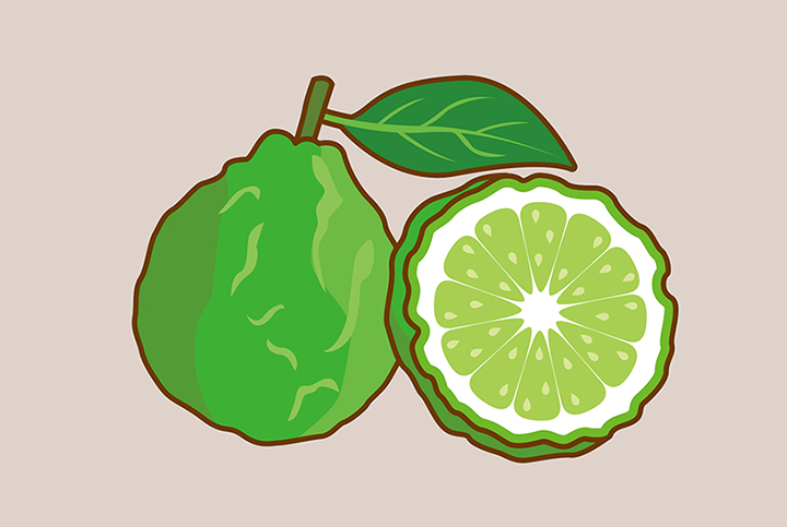 베르가못-주요-성분