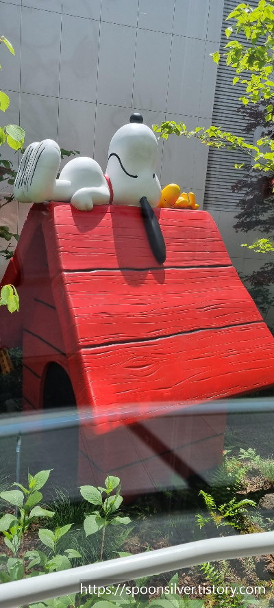 제주스누피가든