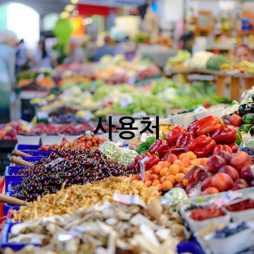 파주생활지원금