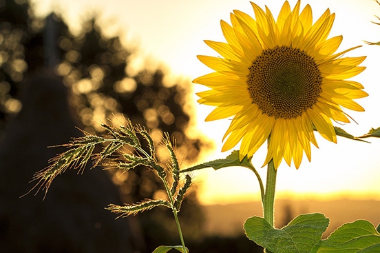 PDF 용량 줄이기