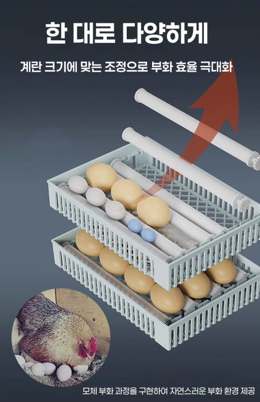병아리 부화기 추천 | 초이 전자동 스마트 부화기 사용 후기