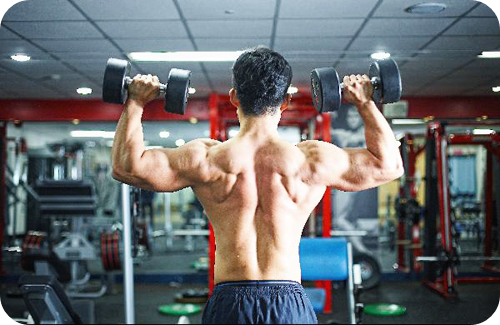 쏘팔메토의-효능-부작용