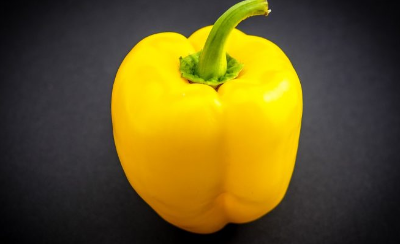 노랑 파프리카