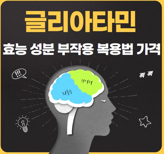 사람-얼굴에-뇌가-그려져-있는-그림입니다.-글리아타민의-효능-성분-부작용-복용법-가격을-알려주는-썸네일입니다.