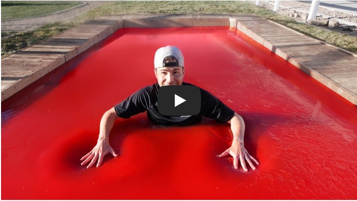 교육/지식 유튜버 TOP 10 10