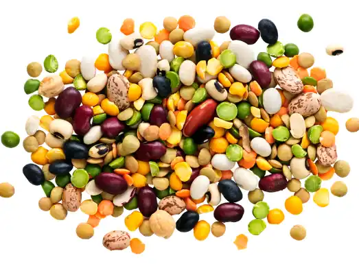 직장암에 좋은 음식 피해야 할 나쁜 음식