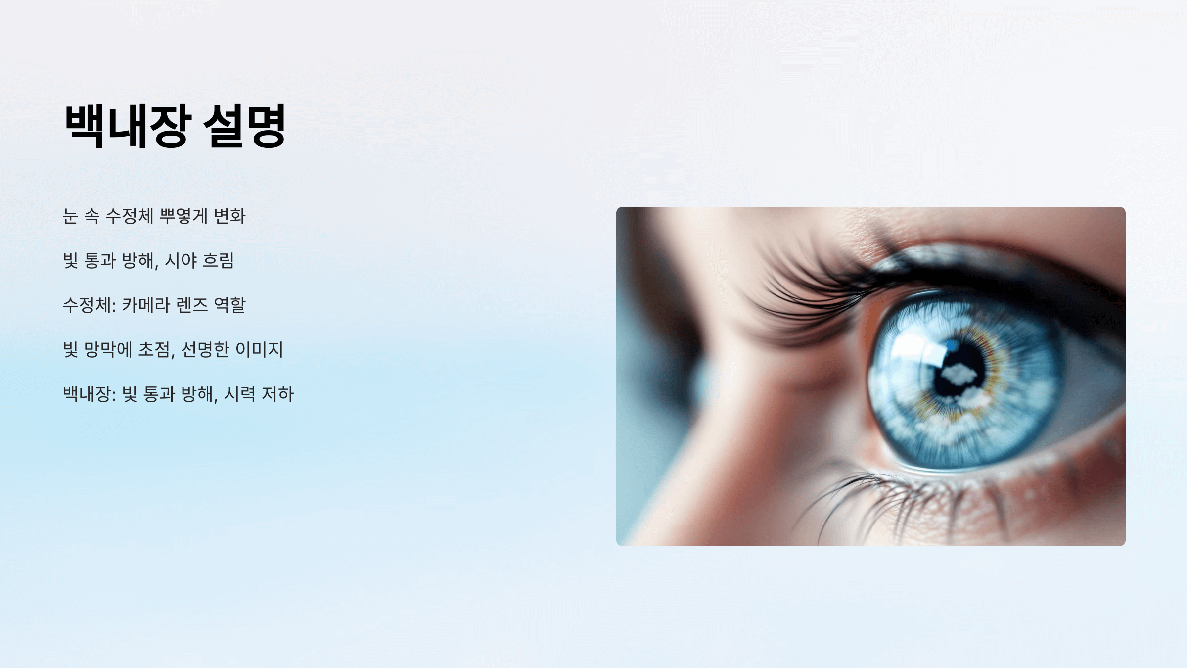 백내장과 관련된 사진입니다.