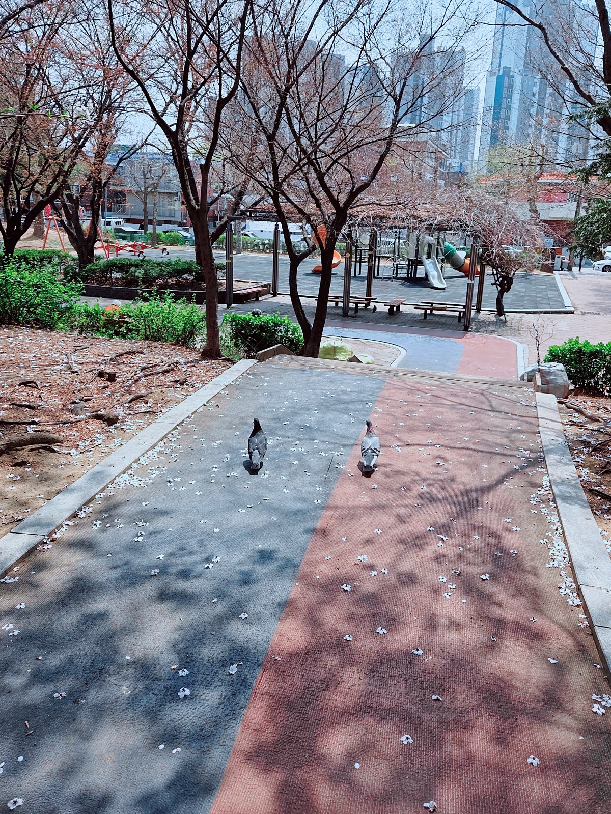 [인천 부평 굴포천&amp;#44; 청리단길 맛집] 태국&amp;#44; 베트남 음식 &amp;#39;덕쿤&amp;#39;: 짜조 무료 쿠폰 받는 법