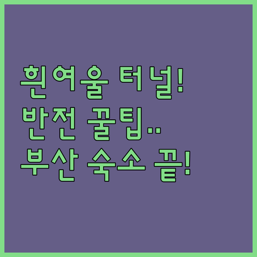 영도 흰여울 해안 터널 반전 매력 해..