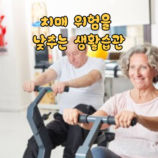 치매 위험을 낮추는 생활습관: 당신이 시작할 수 있는 변화