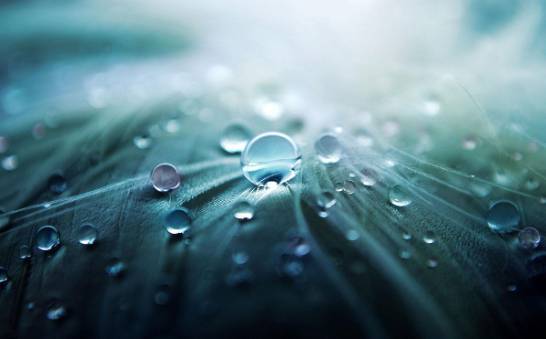 2025 장마 기간, 지역별 예상 일정