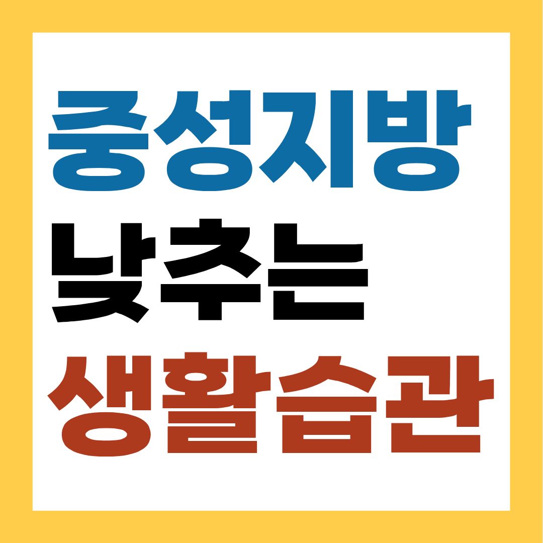 중성지방 원인과 낮추는 생활습관, 지금부터 관리하자