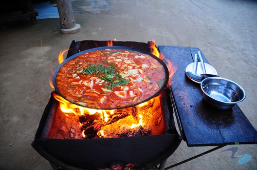 아침고요수목원 수국축제